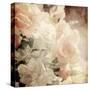 Art Floral Vintage Sepia Background with White Roses-Irina QQQ-Stretched Canvas