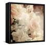 Art Floral Vintage Sepia Background with White Roses-Irina QQQ-Framed Stretched Canvas