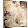 Art Floral Vintage Sepia Background with White Roses-Irina QQQ-Mounted Art Print