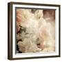 Art Floral Vintage Sepia Background with White Roses-Irina QQQ-Framed Art Print