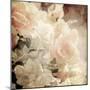 Art Floral Vintage Sepia Background with White Roses-Irina QQQ-Mounted Art Print