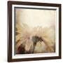 Art Floral Vintage Sepia Blurred Background with One Light Yellow Chamomile-Irina QQQ-Framed Art Print