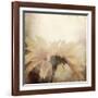 Art Floral Vintage Sepia Blurred Background with One Light Yellow Chamomile-Irina QQQ-Framed Art Print