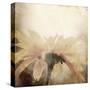 Art Floral Vintage Sepia Blurred Background with One Light Yellow Chamomile-Irina QQQ-Stretched Canvas