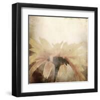 Art Floral Vintage Sepia Blurred Background with One Light Yellow Chamomile-Irina QQQ-Framed Art Print