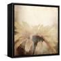 Art Floral Vintage Sepia Blurred Background with One Light Yellow Chamomile-Irina QQQ-Framed Stretched Canvas