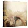 Art Floral Vintage Sepia Blurred Background with One Light Yellow Chamomile-Irina QQQ-Stretched Canvas