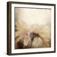 Art Floral Vintage Sepia Blurred Background with One Light Yellow Chamomile-Irina QQQ-Framed Art Print