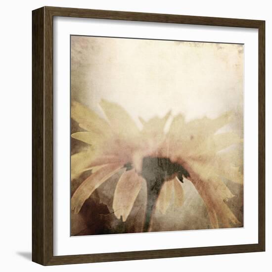 Art Floral Vintage Sepia Blurred Background with One Light Yellow Chamomile-Irina QQQ-Framed Art Print