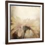 Art Floral Vintage Sepia Blurred Background with One Light Yellow Chamomile-Irina QQQ-Framed Art Print