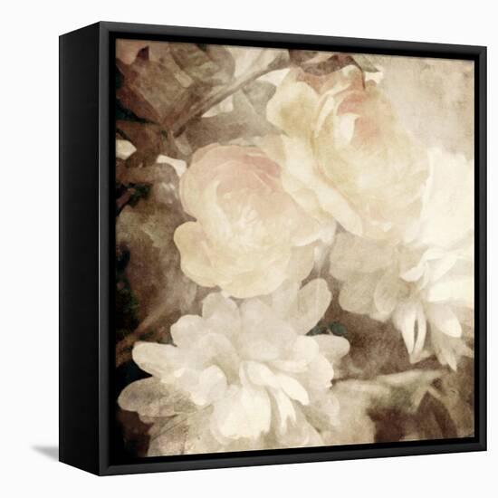 Art Floral Vintage Sepia Blurred Background with White Asters and Roses-Irina QQQ-Framed Stretched Canvas