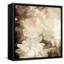 Art Floral Vintage Sepia Blurred Background with White Asters and Roses-Irina QQQ-Framed Stretched Canvas