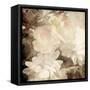 Art Floral Vintage Sepia Blurred Background with White Asters and Roses-Irina QQQ-Framed Stretched Canvas