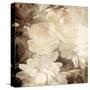 Art Floral Vintage Sepia Blurred Background with White Asters and Roses-Irina QQQ-Stretched Canvas