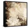 Art Floral Vintage Sepia Blurred Background with White Asters and Roses-Irina QQQ-Framed Stretched Canvas