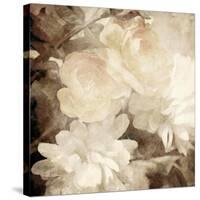 Art Floral Vintage Sepia Blurred Background with White Asters and Roses-Irina QQQ-Stretched Canvas