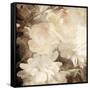 Art Floral Vintage Sepia Blurred Background with White Asters and Roses-Irina QQQ-Framed Stretched Canvas