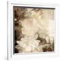 Art Floral Vintage Sepia Blurred Background with White Asters and Roses-Irina QQQ-Framed Premium Giclee Print