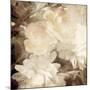 Art Floral Vintage Sepia Blurred Background with White Asters and Roses-Irina QQQ-Mounted Premium Giclee Print