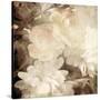 Art Floral Vintage Sepia Blurred Background with White Asters and Roses-Irina QQQ-Stretched Canvas