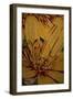 Art Flower-10-Moises Levy-Framed Premium Giclee Print