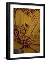 Art Flower-10-Moises Levy-Framed Premium Giclee Print