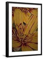 Art Flower-10-Moises Levy-Framed Giclee Print