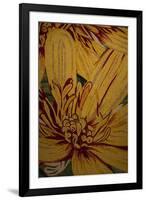 Art Flower-10-Moises Levy-Framed Giclee Print