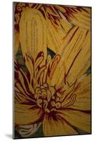 Art Flower-10-Moises Levy-Mounted Giclee Print
