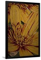 Art Flower-10-Moises Levy-Framed Giclee Print