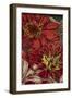 Art Flower-12-Moises Levy-Framed Premium Giclee Print