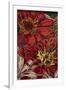 Art Flower-12-Moises Levy-Framed Giclee Print