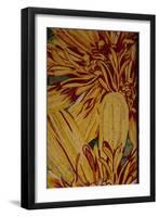 Art Flower-1-Moises Levy-Framed Giclee Print