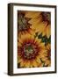 Art Flower-2-Moises Levy-Framed Giclee Print