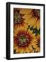 Art Flower-2-Moises Levy-Framed Premium Giclee Print
