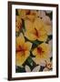 Art Flower-3-Moises Levy-Framed Giclee Print