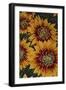 Art Flower-5-Moises Levy-Framed Premium Giclee Print