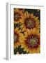 Art Flower-5-Moises Levy-Framed Premium Giclee Print