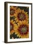 Art Flower-5-Moises Levy-Framed Giclee Print