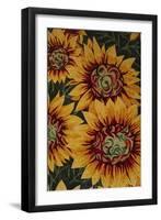 Art Flower-5-Moises Levy-Framed Giclee Print