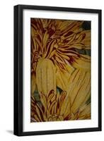 Art Flower-6-Moises Levy-Framed Giclee Print