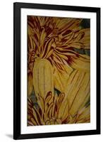 Art Flower-6-Moises Levy-Framed Giclee Print