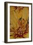 Art Flower-7-Moises Levy-Framed Premium Giclee Print