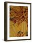 Art Flower-8-Moises Levy-Framed Giclee Print