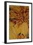 Art Flower-8-Moises Levy-Framed Giclee Print