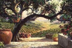 Tuscany Vineyard-Art Fronckowiak-Art Print