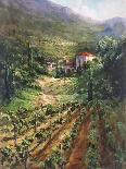 Chianti Vineyard-Art Fronckowiak-Stretched Canvas