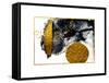 Art&Gold. Painting. Natural Luxury. Black Paint Stroke Texture on White Paper. Abstract Hand Painte-CARACOLLA-Framed Stretched Canvas