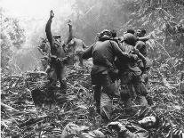 Vietnam War-Art Greenspon-Laminated Premium Photographic Print