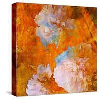 Art Grunge Floral Vintage Background in Orange and Light Pink-Irina QQQ-Stretched Canvas